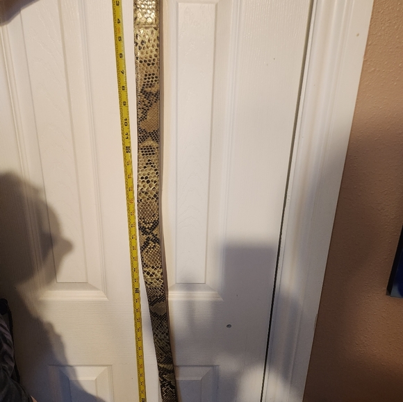 Python Belt Genuine Made In Italy Reptiles House Brass - Picture 9 of 10